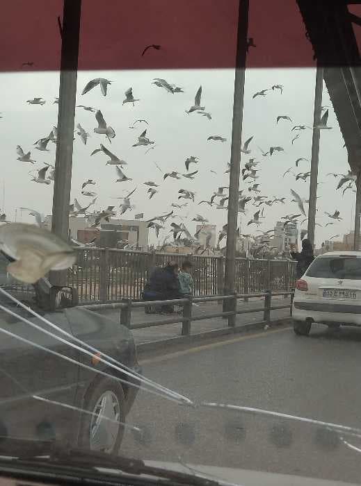 شهر بدون عیسا