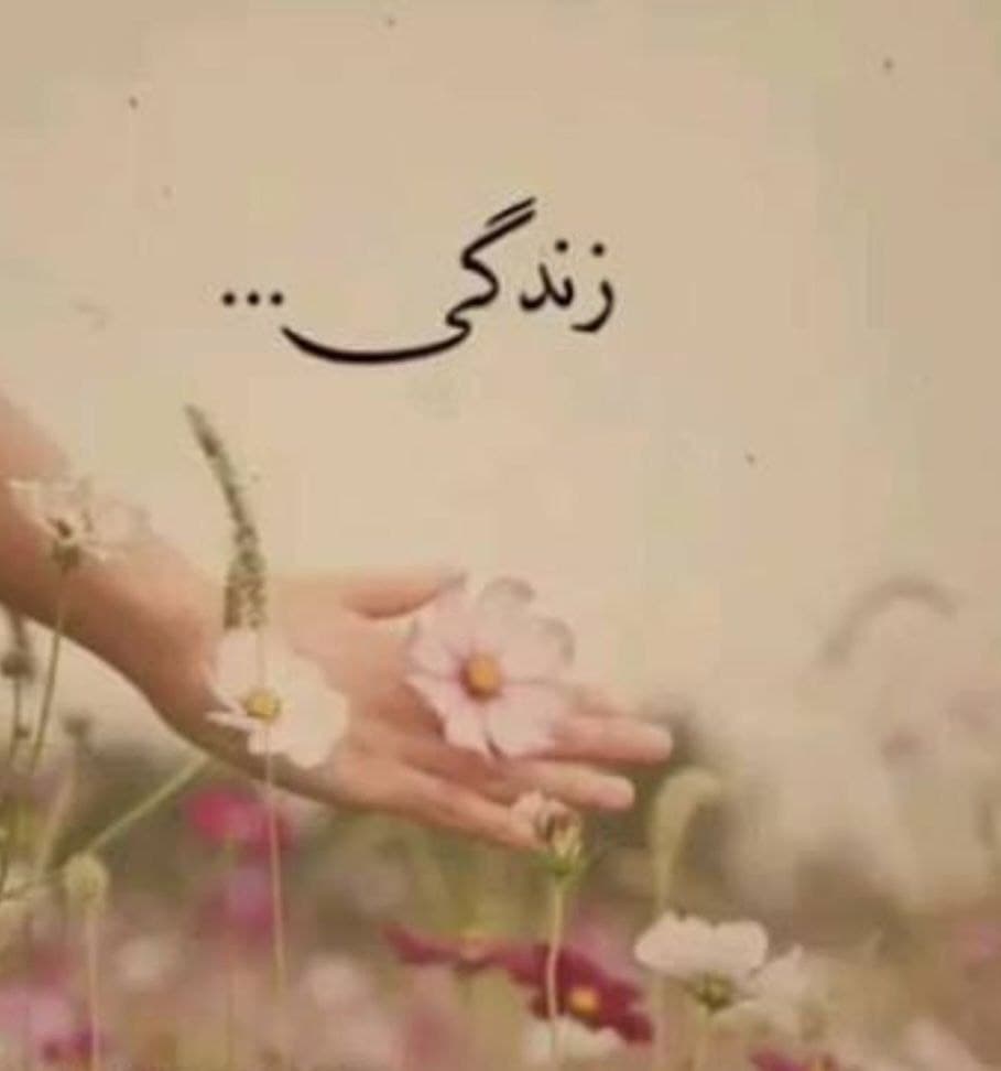 زندگی